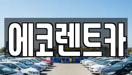 경기도 수원시 권선구 오목천동 장기렌트카 전문 에코렌트카