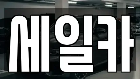 경기도 수원시 권선구 오목천동 중고차 전문 세일카
