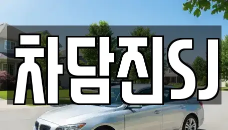 경기도 수원시 권선구 오목천동 중고차 전문 차담진SJ