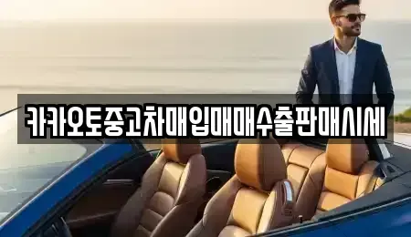 경기도 수원시 권선구 오목천동 중고차매입 전문 카카오토중고차매입매매수출판매시세