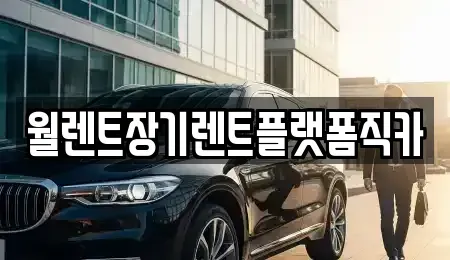 경기도 안산시 단원구 대부남동 렌트카 전문 월렌트장기렌트플랫폼직카