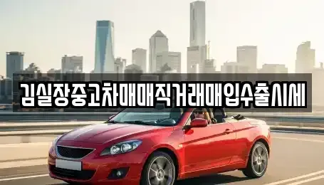 경기도 안산시 단원구 대부남동 중고차매입 전문 김실장중고차매매직거래매입수출시세