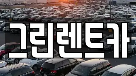 경기도 안산시 상록구 팔곡이동 렌트카 전문 그린렌트카