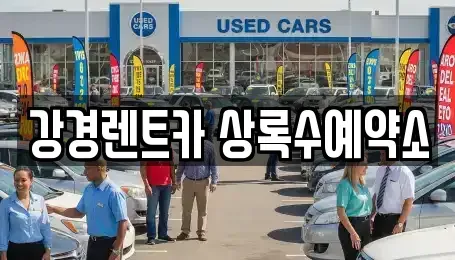 경기도 안산시 상록구 팔곡이동 장기렌트카 전문 강경렌트카 상록수예약소