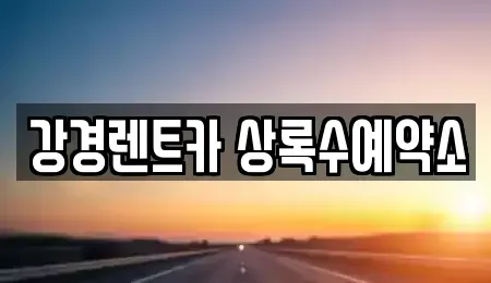 경기도 안산시 상록구 팔곡일동 렌트카 전문 강경렌트카 상록수예약소