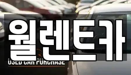 경기도 안성시 서인동 렌트카 전문 월렌트카