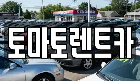 경기도 안성시 서인동 렌트카 전문 토마토렌트카