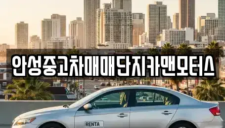 경기도 안성시 서인동 중고차 전문 안성중고차매매단지카맨모터스
