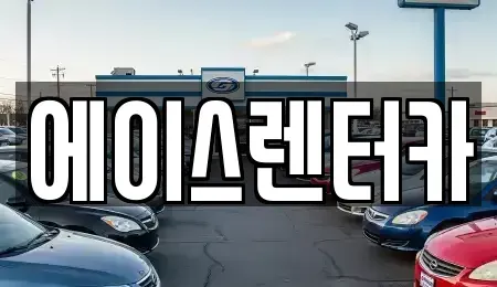 경기도 안성시 신건지동 렌트카 전문 에이스렌터카