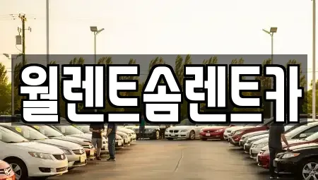 경기도 안성시 신건지동 렌트카 전문 월렌트솜렌트카
