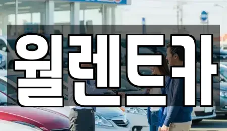 경기도 안성시 신건지동 렌트카 전문 월렌트카