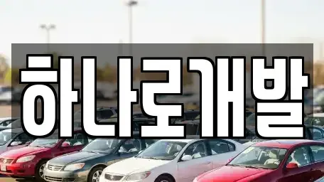 경기도 안성시 신건지동 렌트카 전문 하나로개발