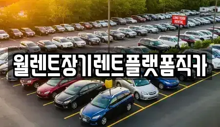 경기도 안성시 신건지동 장기렌트카 전문 월렌트장기렌트플랫폼직카