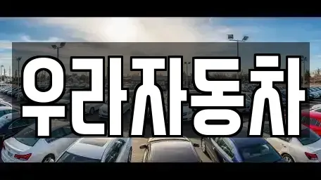 경기도 안성시 신건지동 중고차 전문 우라자동차