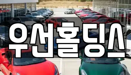 경기도 안성시 신건지동 중고차 전문 우선홀딩스