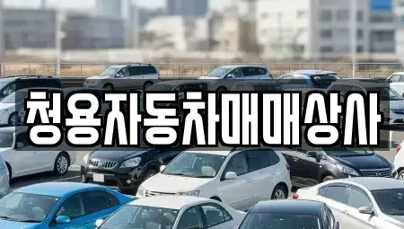 경기도 안성시 신건지동 중고차매매 전문 청용자동차매매상사
