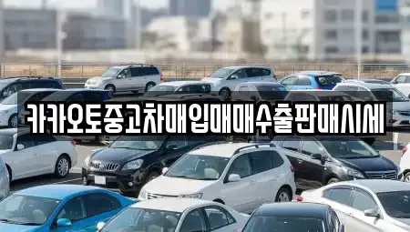 경기도 안성시 신건지동 중고차매입 전문 카카오토중고차매입매매수출판매시세