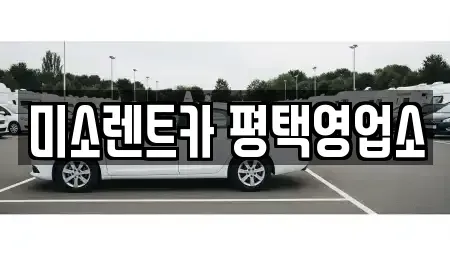 경기도 안성시 원곡면 렌트카 전문 미소렌트카 평택영업소