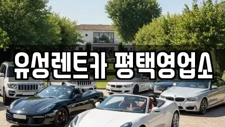 경기도 안성시 원곡면 렌트카 전문 유성렌트카 평택영업소