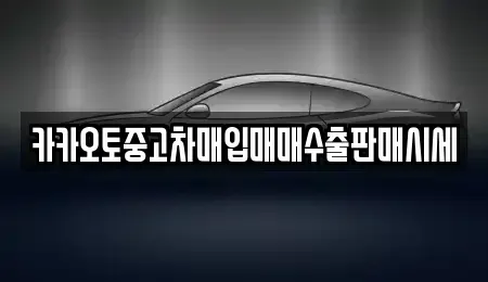 경기도 안성시 원곡면 중고차매입 전문 카카오토중고차매입매매수출판매시세
