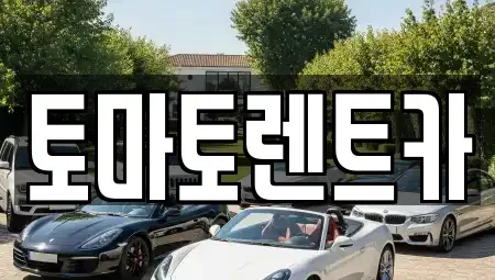 경기도 안성시 일죽면 렌트카 전문 토마토렌트카