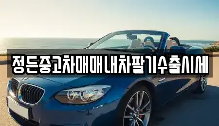 경기도 여주시 금사면 중고차 전문 정든중고차매매내차팔기수출시세