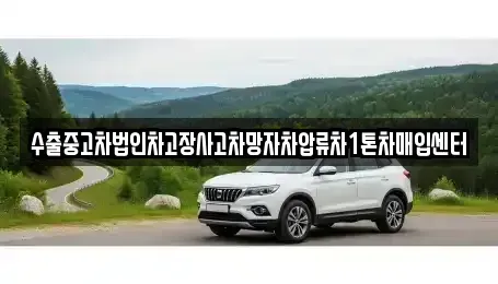 경기도 여주시 금사면 중고차매입 전문 수출중고차법인차고장사고차망자차압류차1톤차매입센터