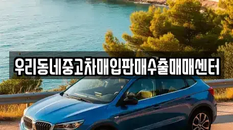 경기도 여주시 삼교동 단기렌트카,중고차매입,중고차매매,중고차,렌트카,장기렌트카