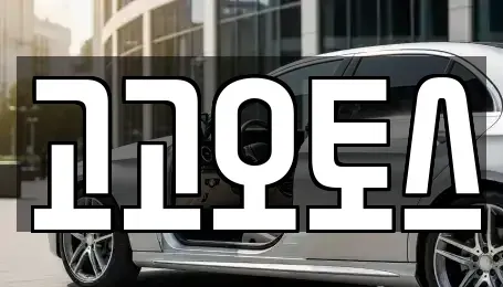 경기도 의왕시 월암동 렌트카 전문 고고오토스