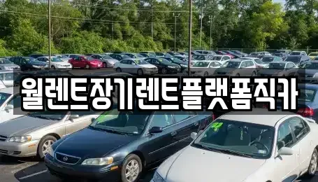 경기도 의정부시 장암동 장기렌트카 전문 월렌트장기렌트플랫폼직카