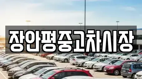 경기도 의정부시 장암동 중고차,렌트카,중고차매입,중고차매매,장기렌트카,단기렌트카
