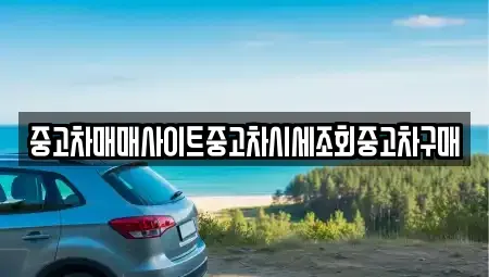 경기도 파주시 와동동 중고차 전문 중고차매매사이트중고차시세조회중고차구매