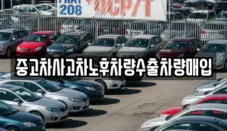 경기도 파주시 와동동 중고차 전문 중고차사고차노후차량수출차량매입