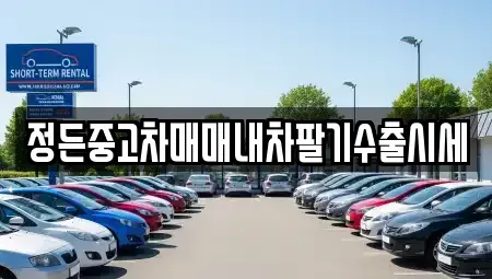 경기도 파주시 조리읍 중고차매매 전문 정든중고차매매내차팔기수출시세