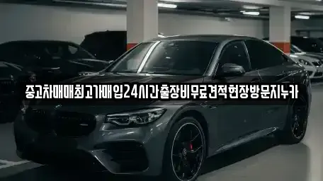 경기도 파주시 조리읍 중고차매입 전문 중고차매매최고가매입24시간출장비무료견적현장방문지누카