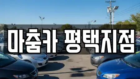 경기도 평택시 진위면 렌트카,단기렌트카,장기렌트카,중고차,중고차매매,중고차매입
