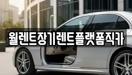 경기도 평택시 진위면 장기렌트카 전문 월렌트장기렌트플랫폼직카