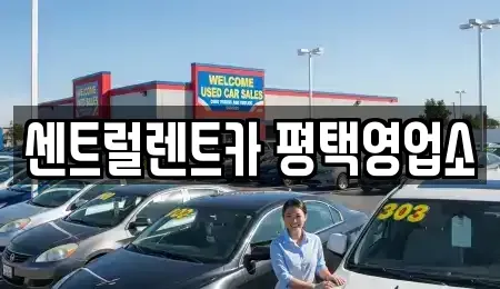 경기도 평택시 평택동 단기렌트카 전문 센트럴렌트카 평택영업소