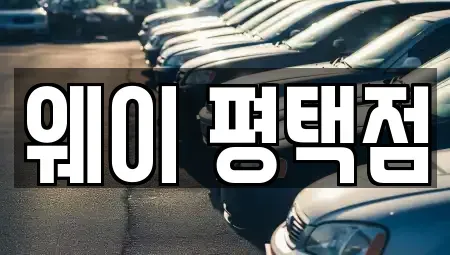 경기도 평택시 평택동 장기렌트카 전문 웨이 평택점