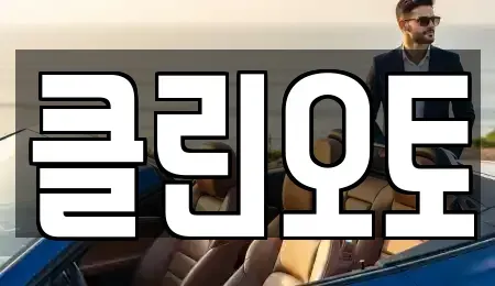 경기도 평택시 평택동 중고차매매 전문 클린오토