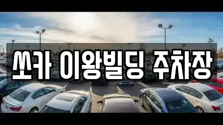 경기도 포천시 화현면 렌트카 전문 쏘카 이왕빌딩 주차장