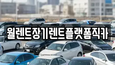 경기도 포천시 화현면 렌트카,단기렌트카,장기렌트카,중고차,중고차매매,중고차매입