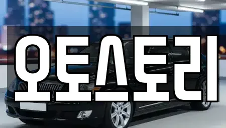 경기도 포천시 화현면 중고차 전문 오토스토리