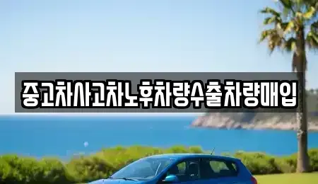 경기도 포천시 화현면 중고차 전문 중고차사고차노후차량수출차량매입