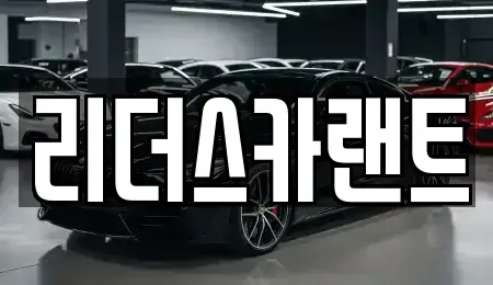 경기도 하남시 단기렌트카 전문 리더스카랜트