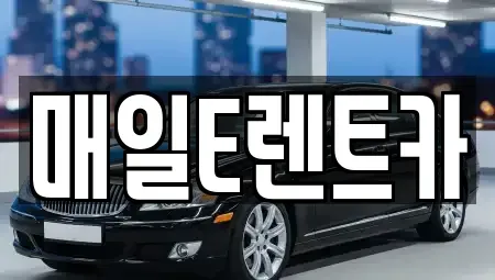 경남 김해시 풍유동 렌트카 전문 매일E렌트카