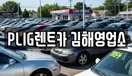 경남 김해시 한림면 렌트카,단기렌트카,장기렌트카,중고차,중고차매매,중고차매입