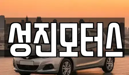 경남 김해시 한림면 중고차 전문 성진모터스