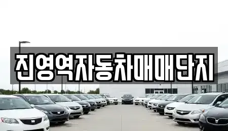 경남 김해시 한림면 중고차 전문 진영역자동차매매단지
