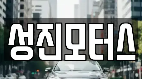 경남 김해시 한림면 중고차매매 전문 성진모터스